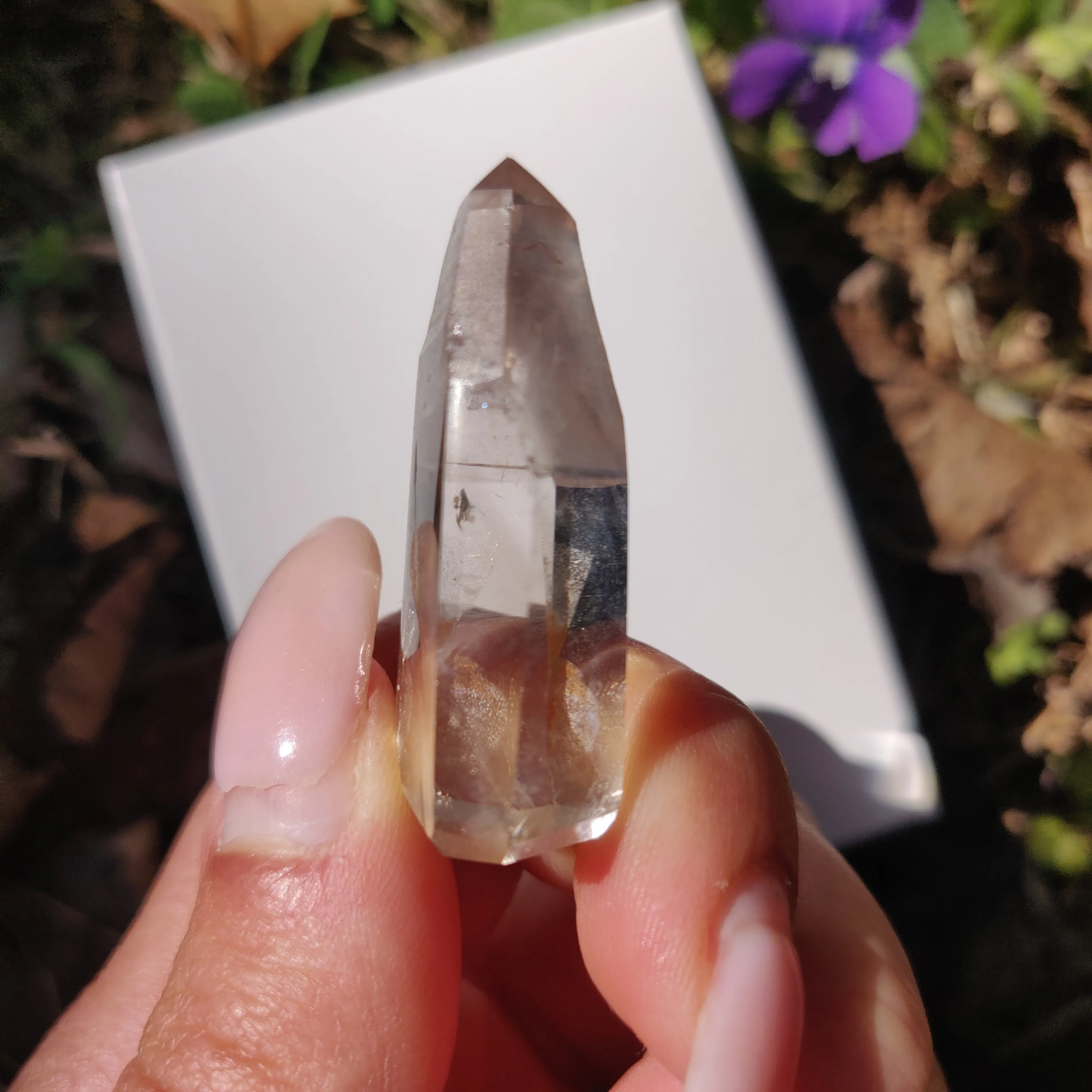 Smoky Garden Quartz Point, Lodolite Point (#9G)